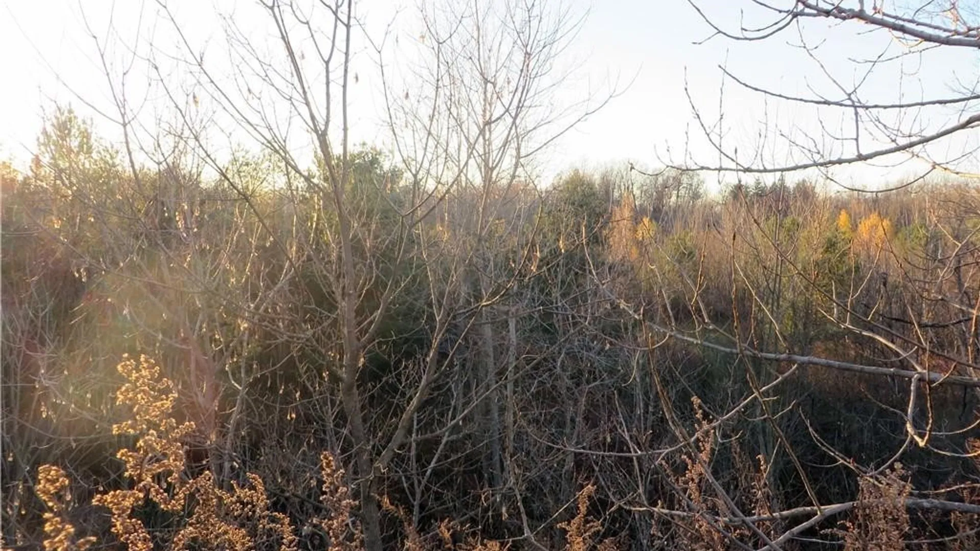 Property at 5600 Clinton Street, Elma, NY 14059 15