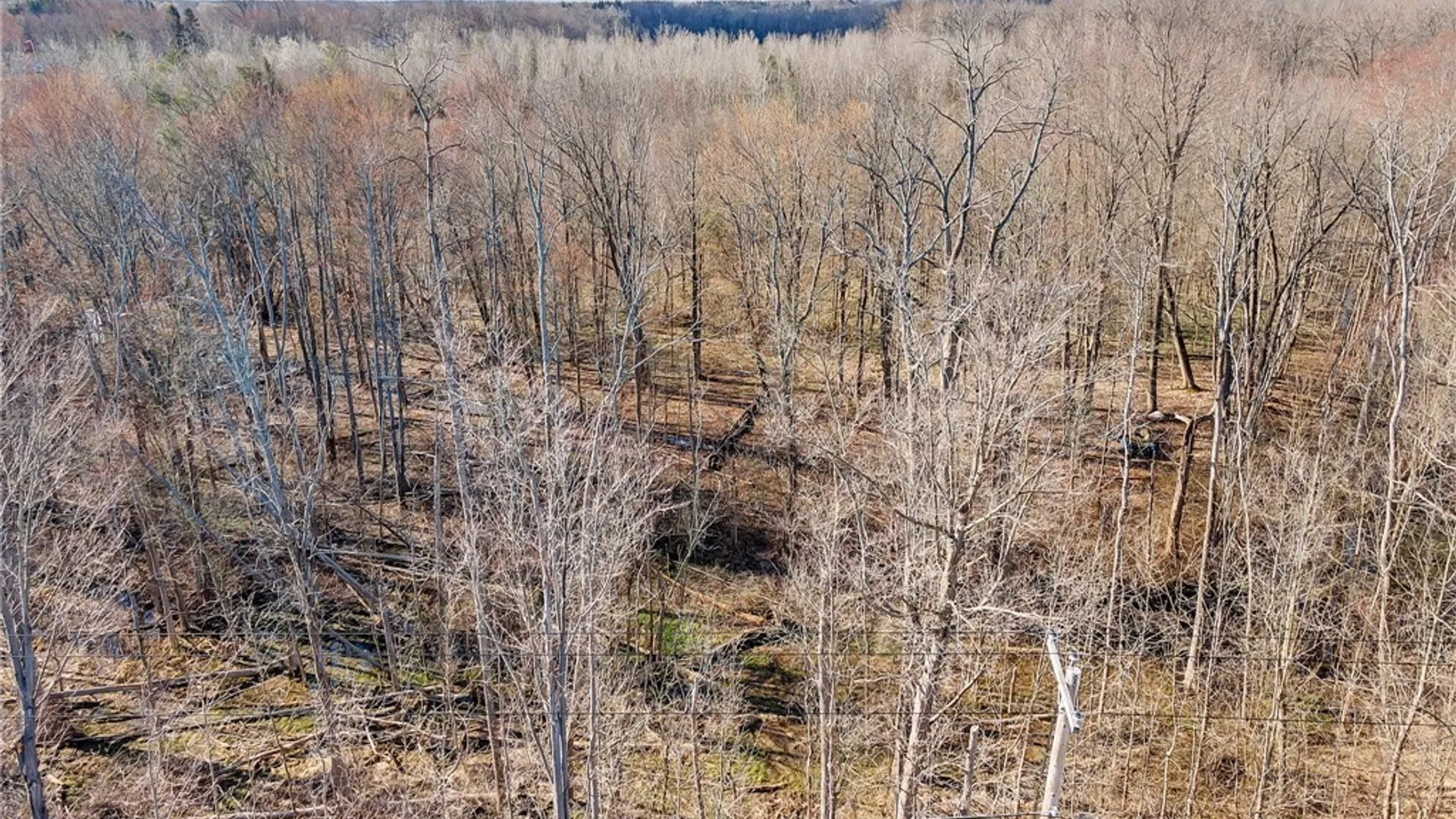 Property at 5600 Clinton Street, Elma, NY 14059 16