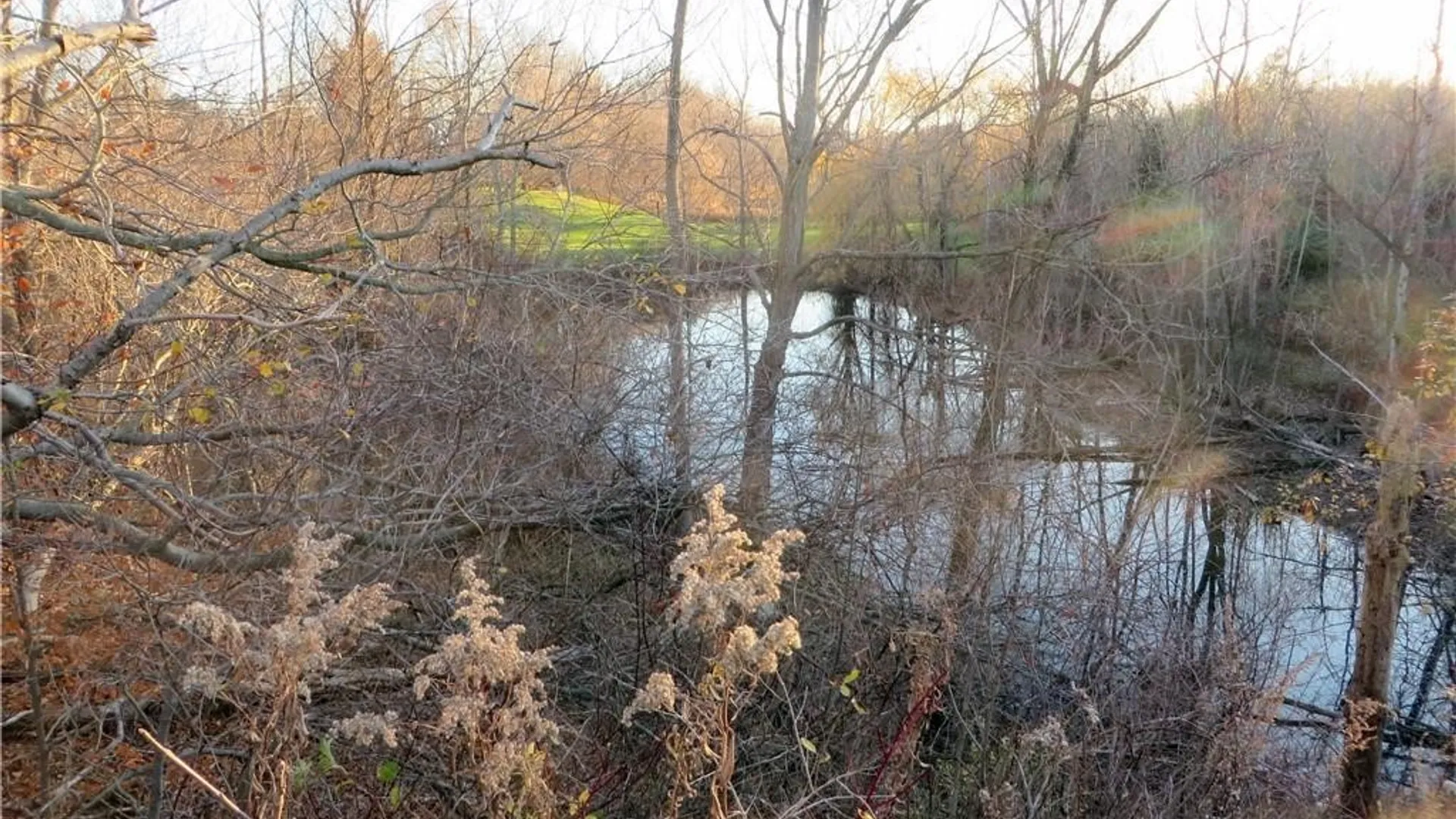 Property at 5600 Clinton Street, Elma, NY 14059 5