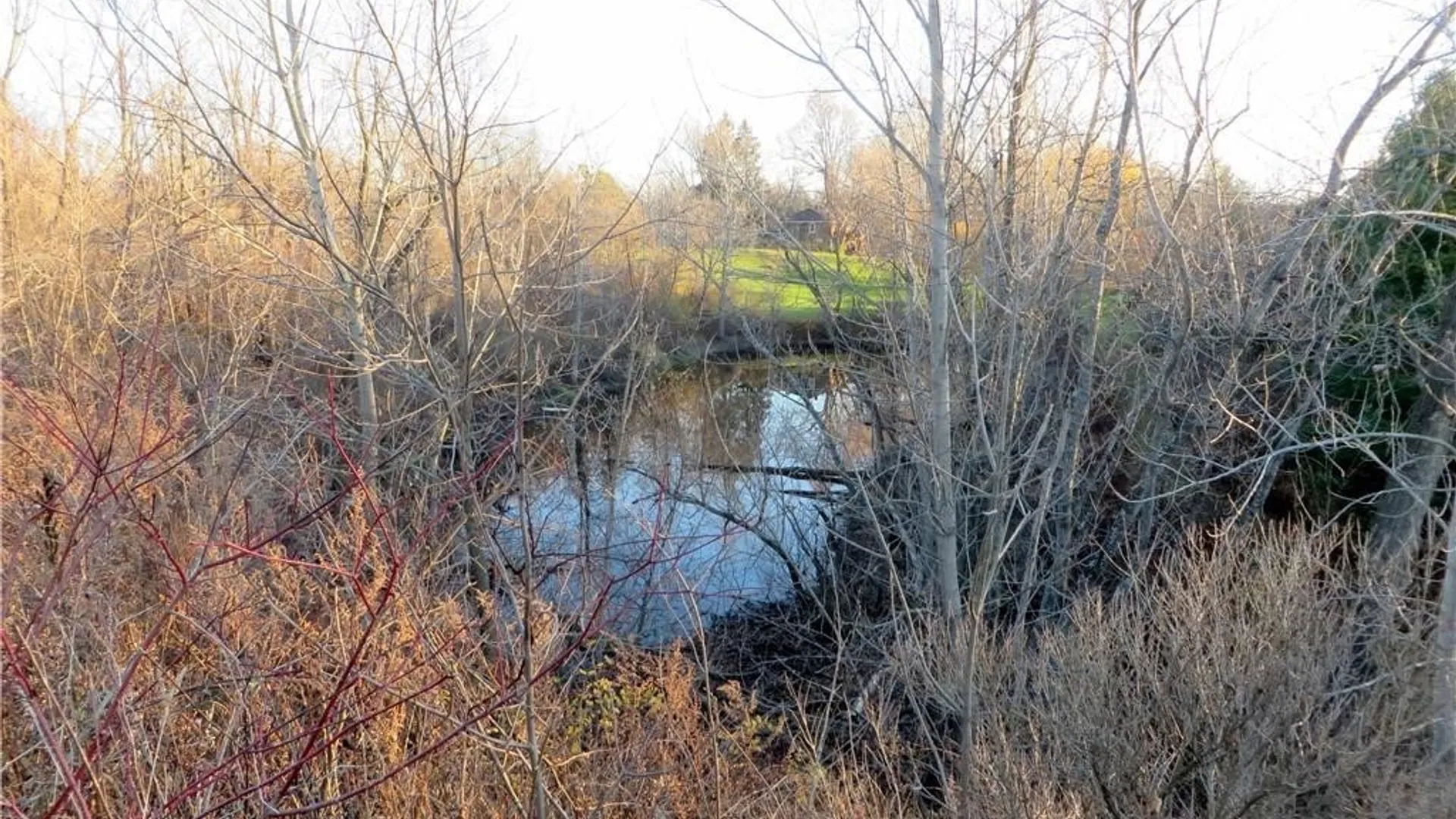 Property at 5600 Clinton Street, Elma, NY 14059 6