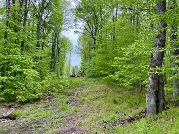 Property at 532 State Route 8, Piseco, NY 12139