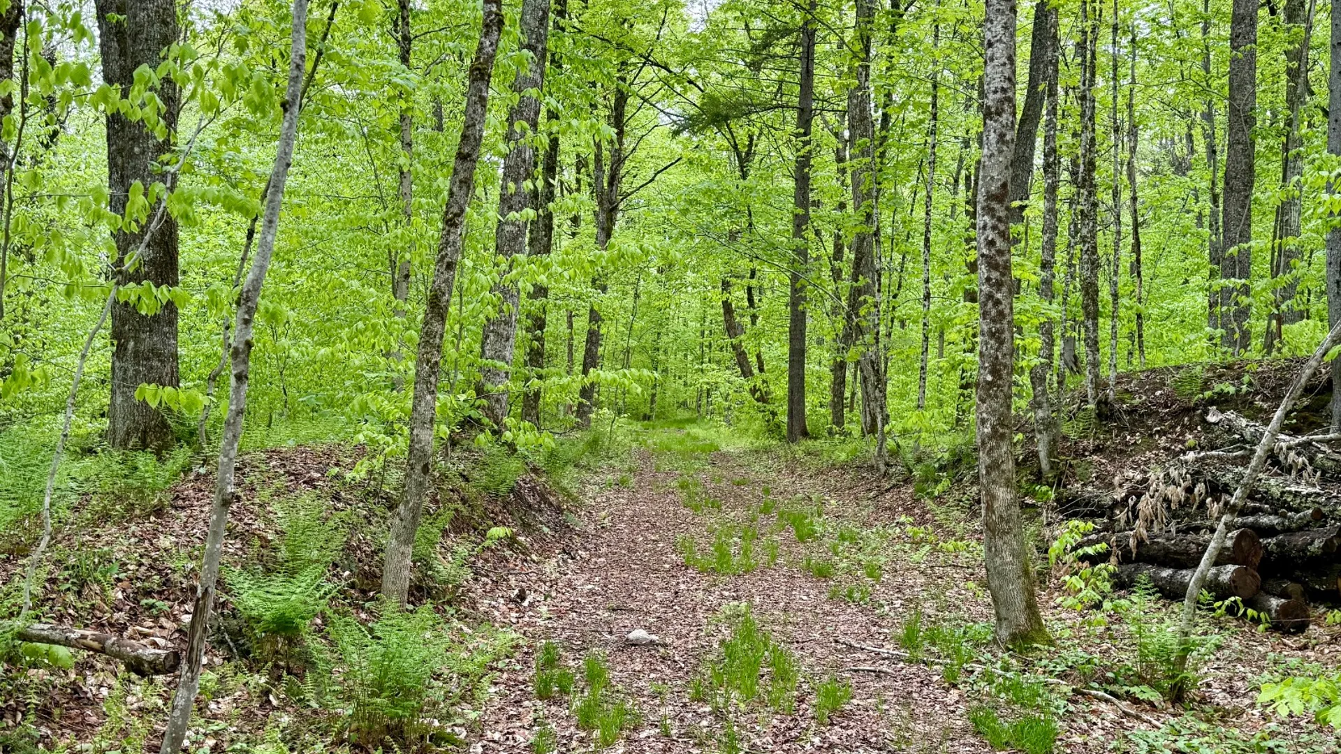 Property at 532 State Route 8, Piseco, NY 12139 2