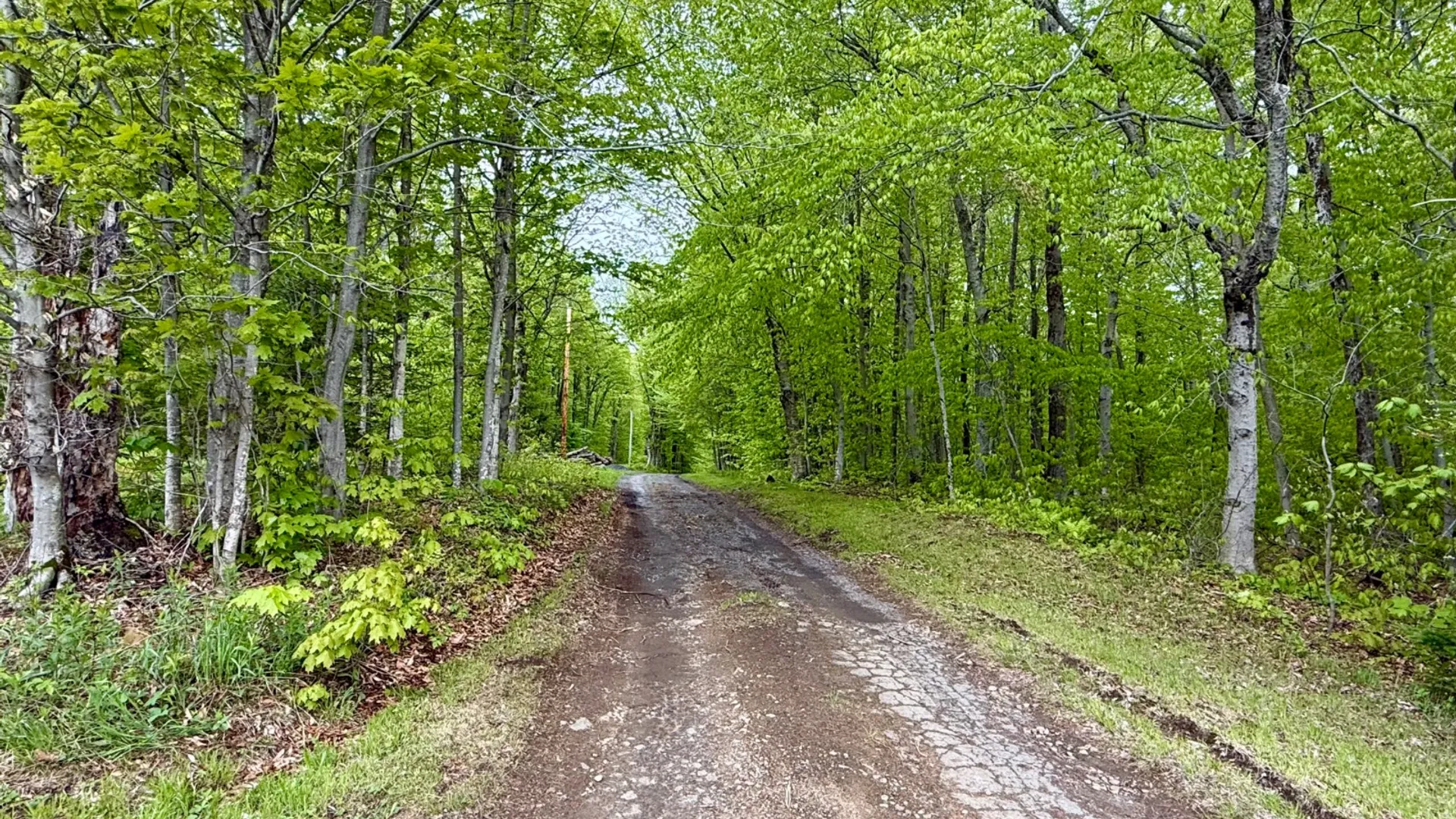 Property at 532 State Route 8, Piseco, NY 12139 3