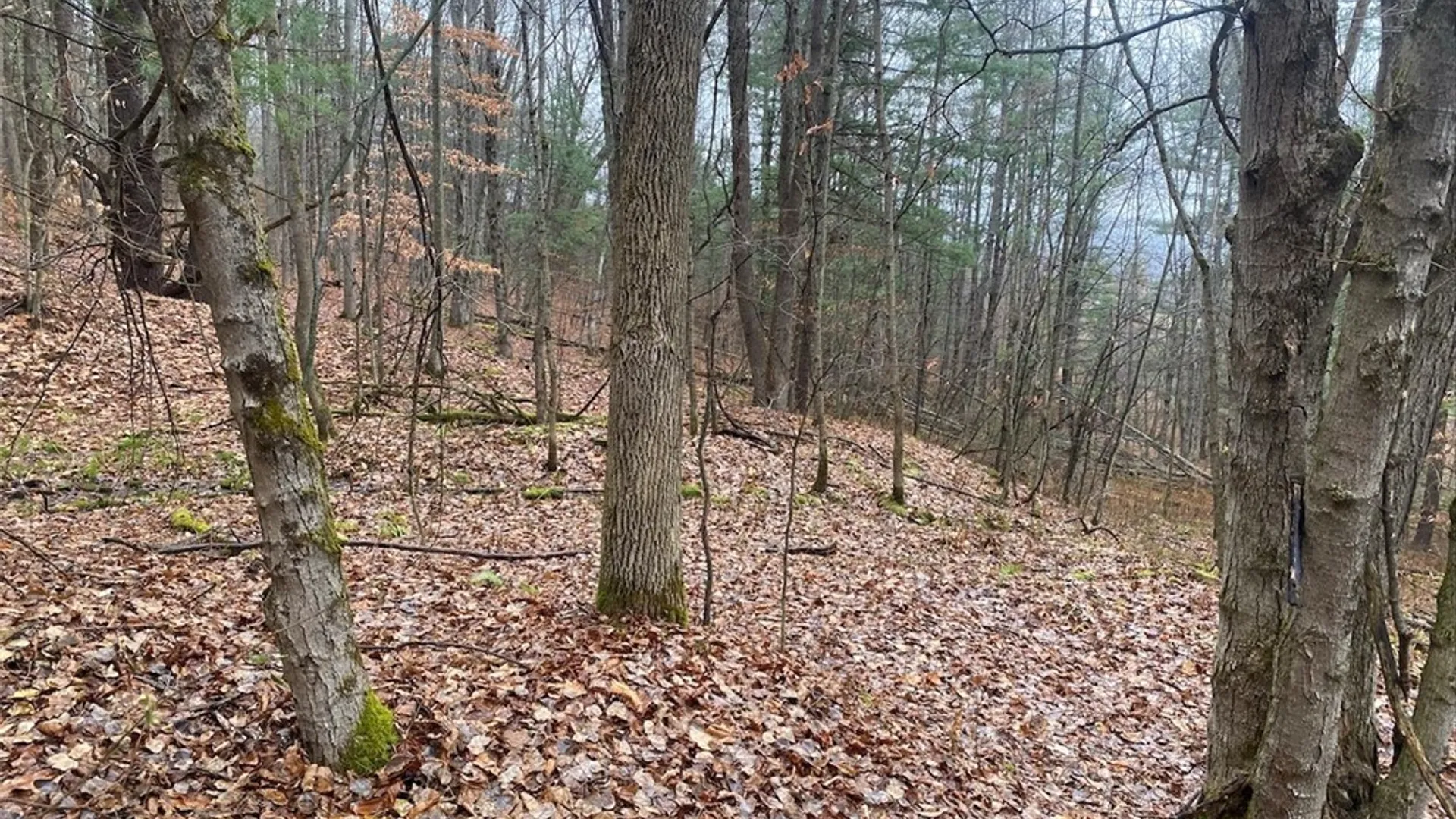 Property at 4236 Blouvet Road, Friendship, NY 14739 11