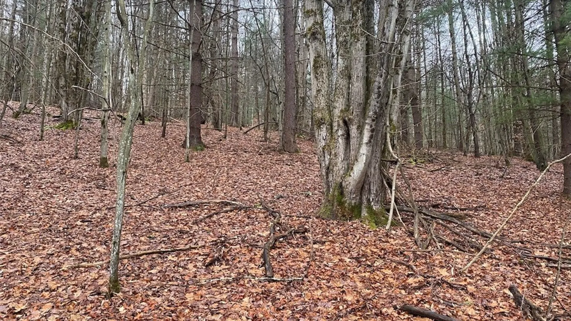 Property at 4236 Blouvet Road, Friendship, NY 14739 14