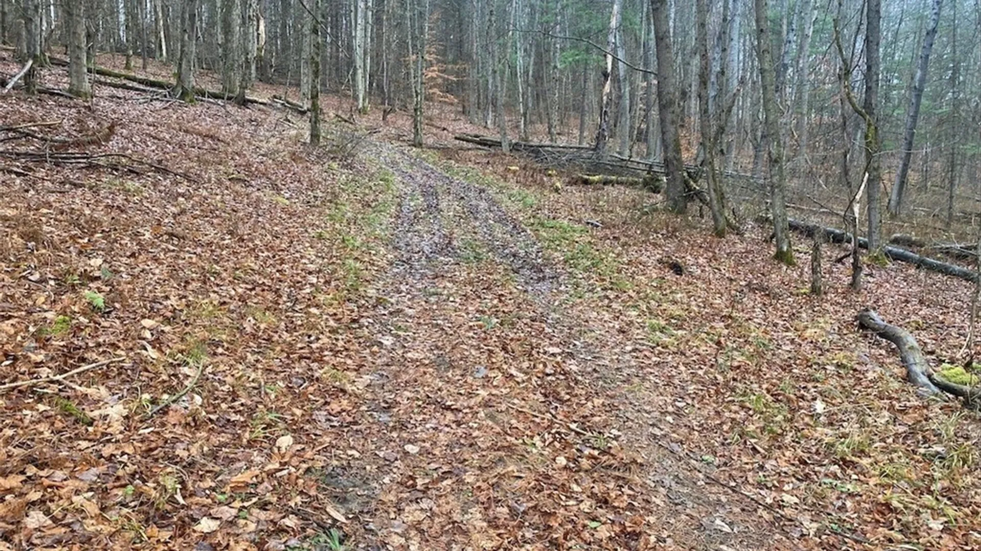 Property at 4236 Blouvet Road, Friendship, NY 14739 4