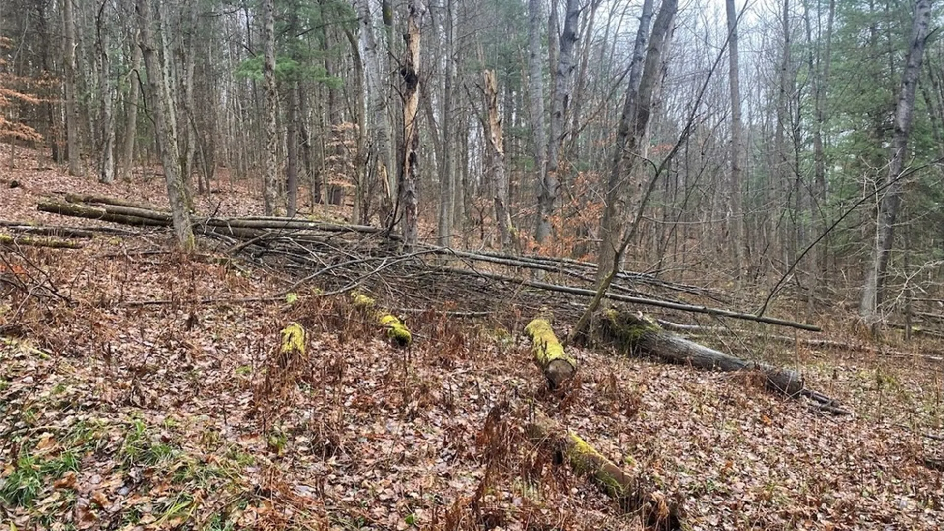Property at 4236 Blouvet Road, Friendship, NY 14739 6