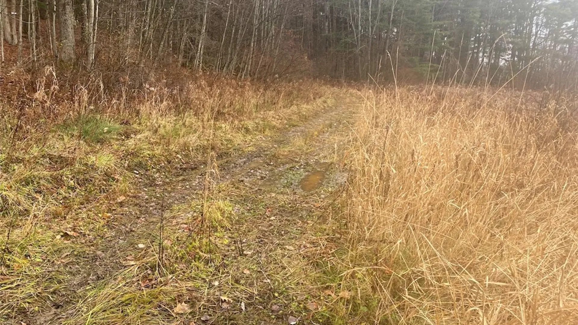 Property at 4236 Blouvet Road, Friendship, NY 14739 8