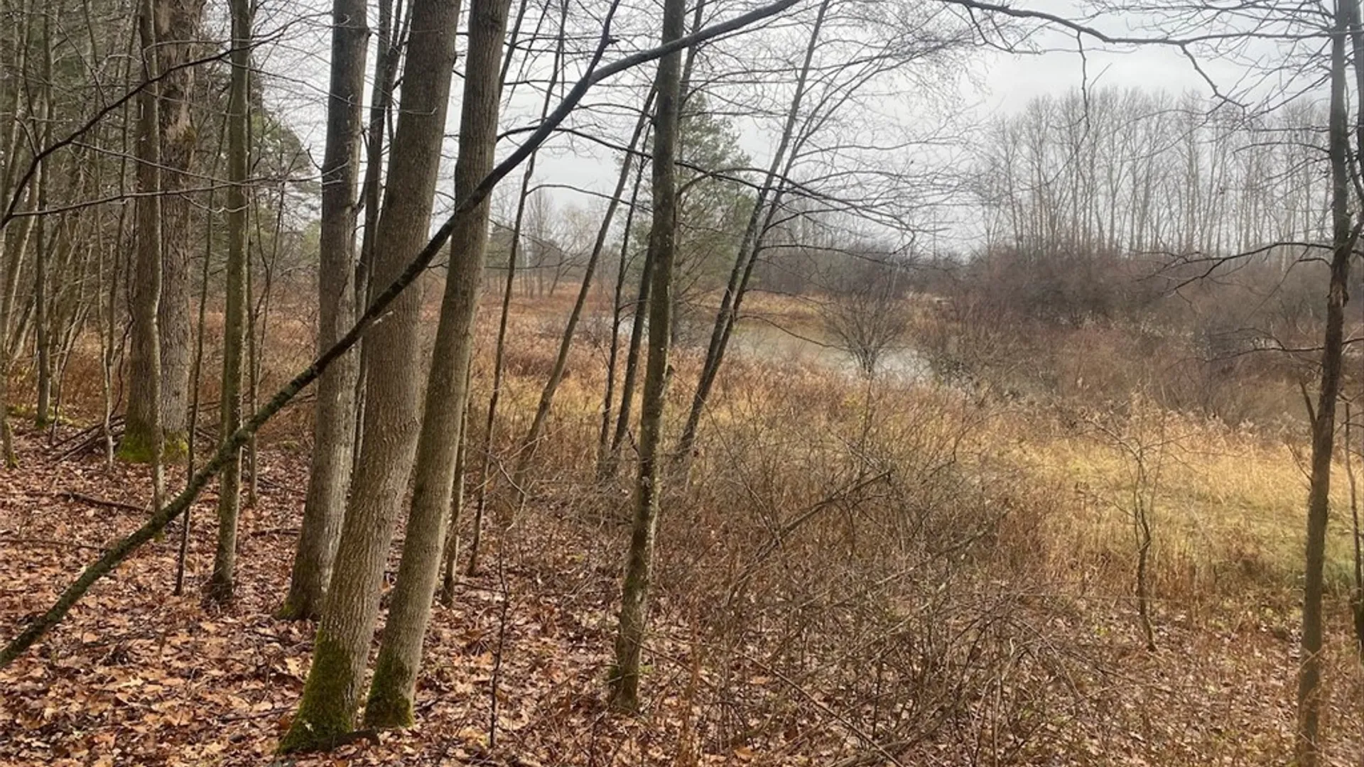 Property at 4236 Blouvet Road, Friendship, NY 14739 9