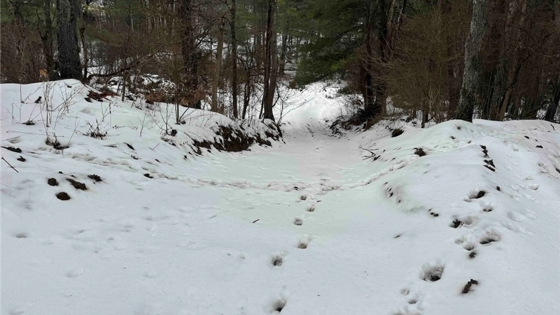 Property at Co Rd 5, Genesee, NY 14754 11