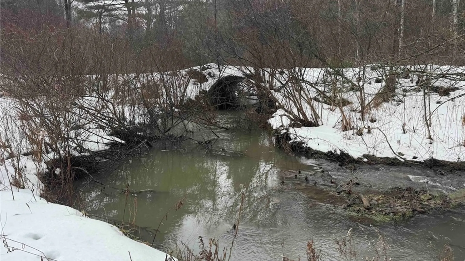 Property at Co Rd 5, Genesee, NY 14754 13