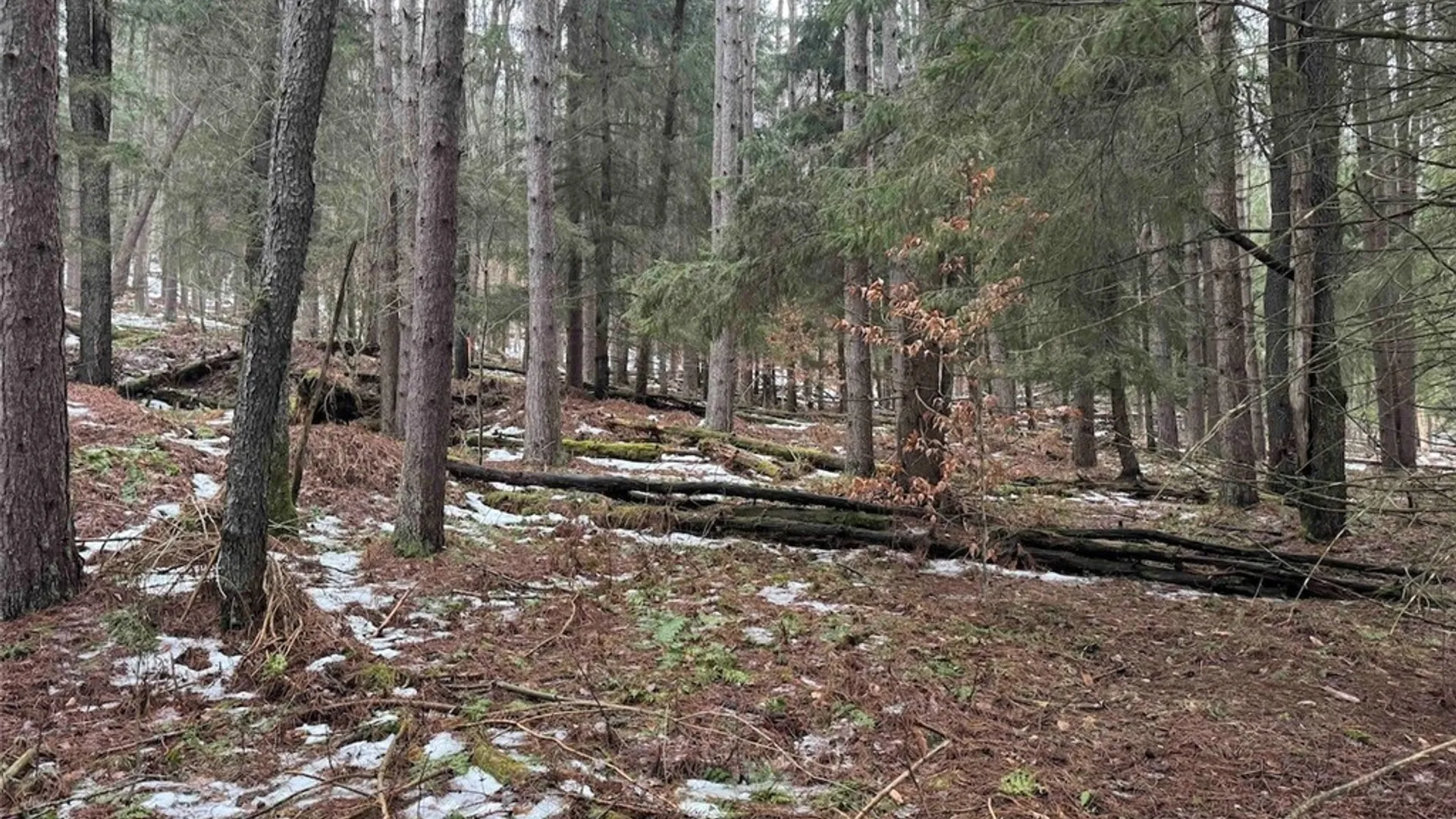 Property at Co Rd 5, Genesee, NY 14754 15