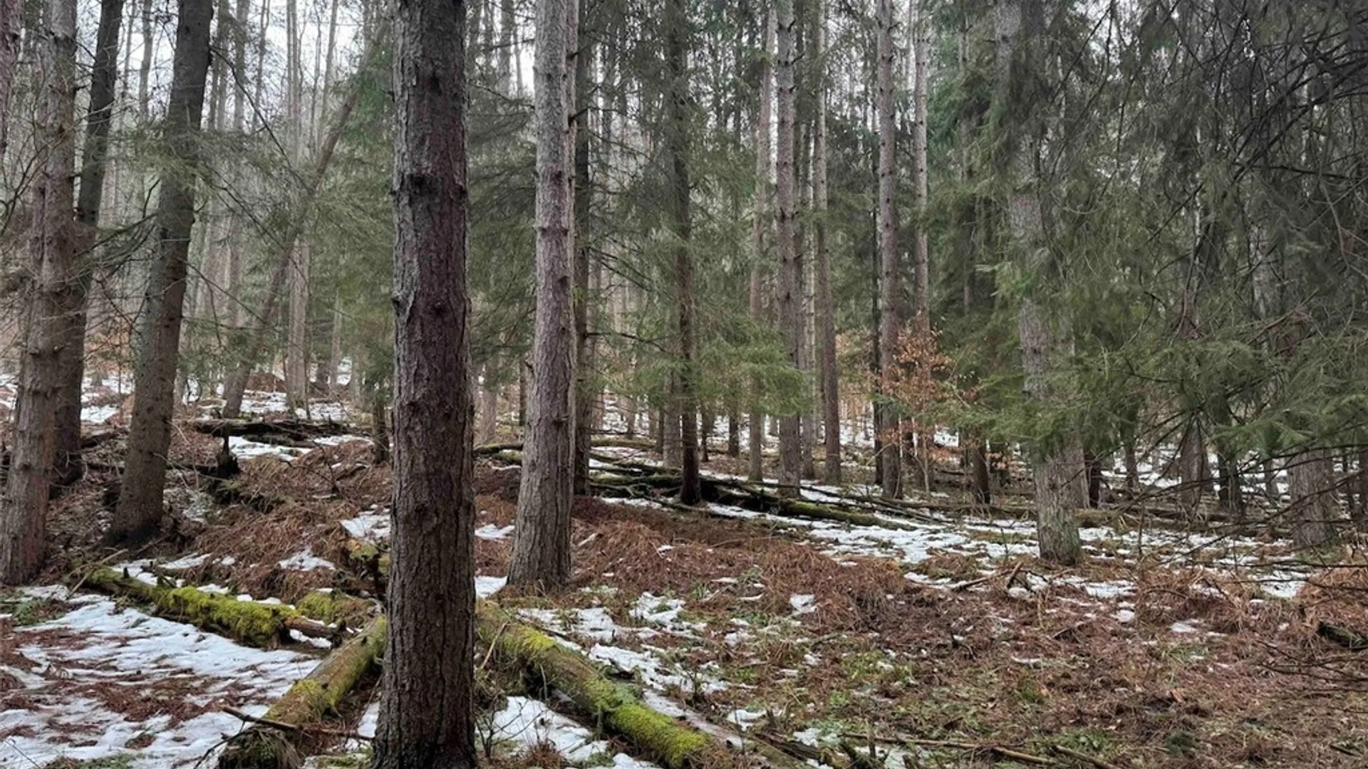 Property at Co Rd 5, Genesee, NY 14754 16