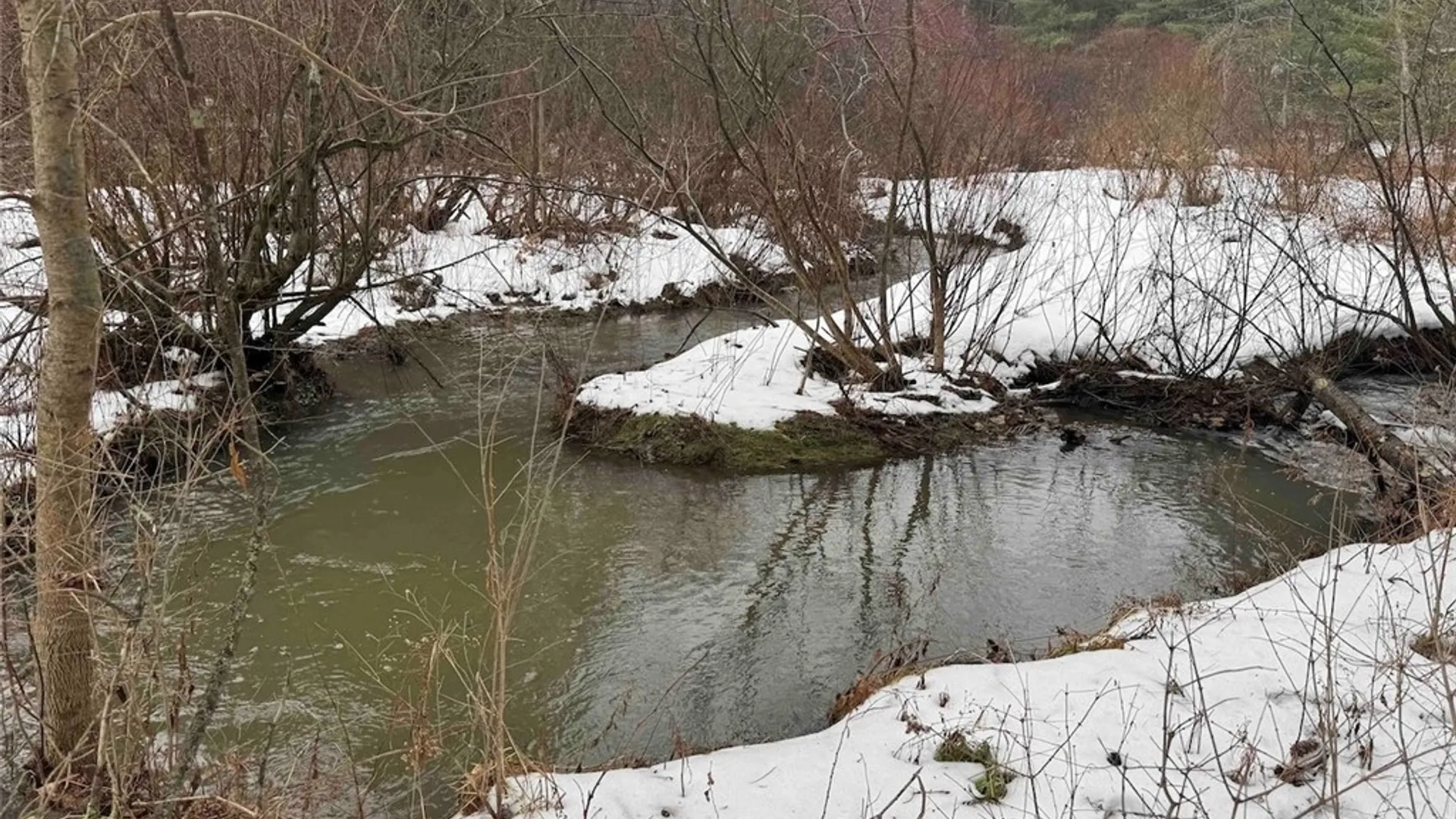 Property at Co Rd 5, Genesee, NY 14754 17