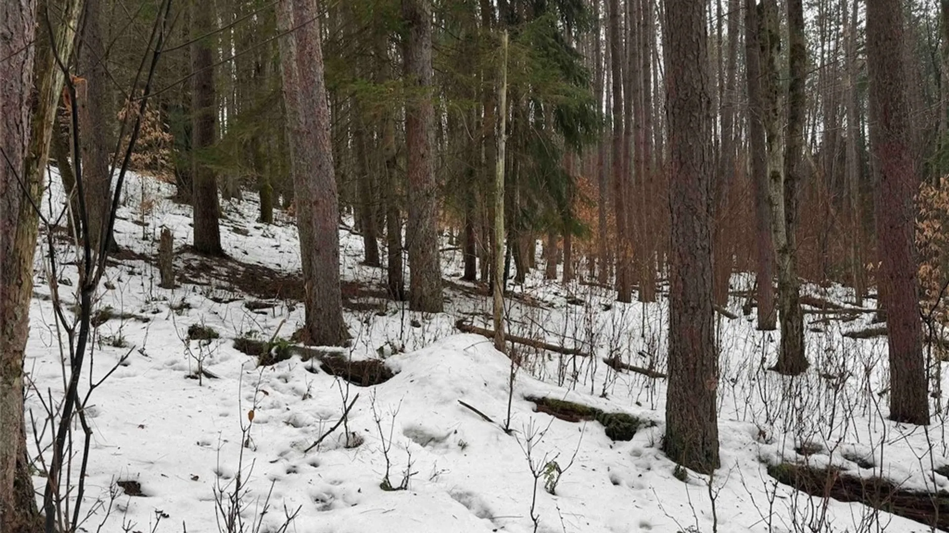 Property at Co Rd 5, Genesee, NY 14754 18