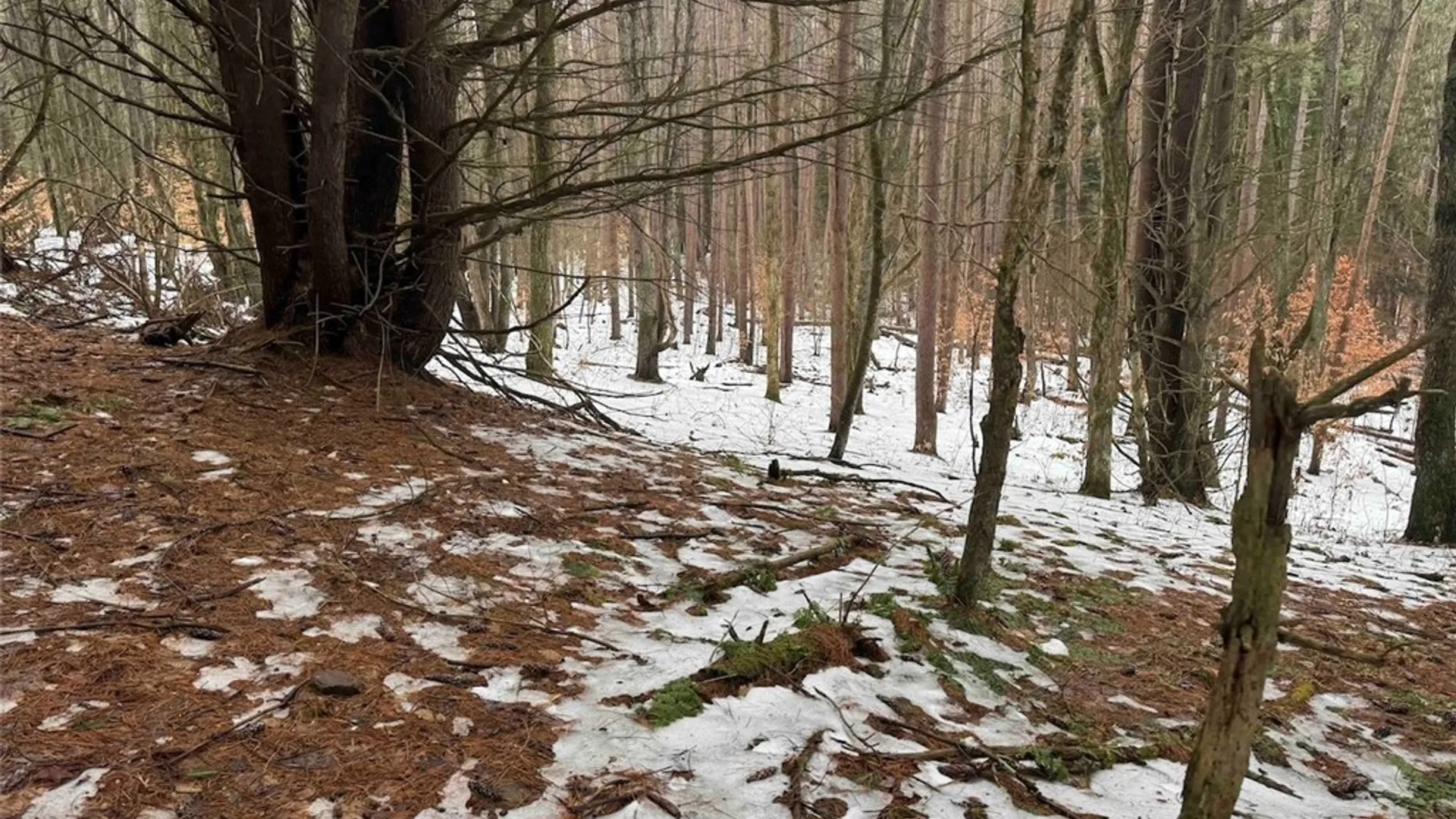Property at Co Rd 5, Genesee, NY 14754 21