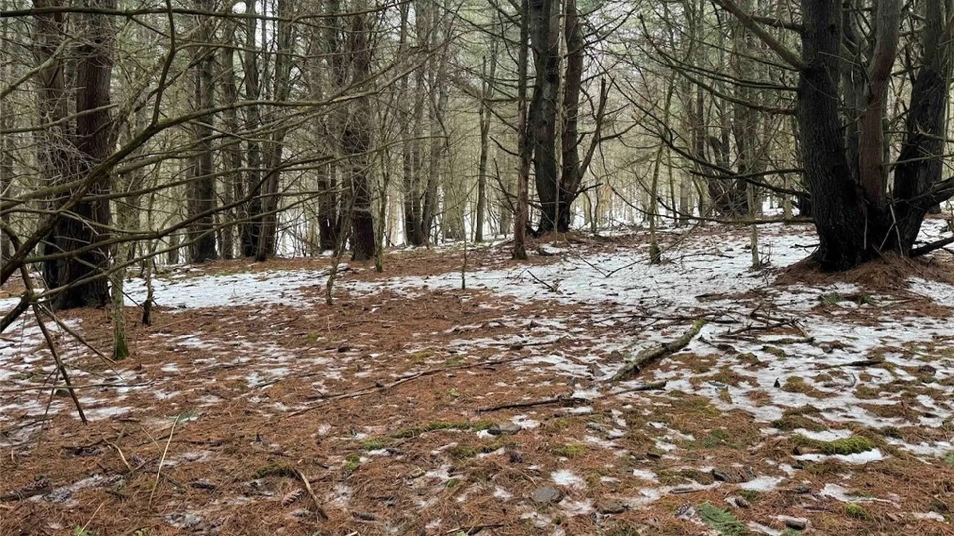 Property at Co Rd 5, Genesee, NY 14754 23