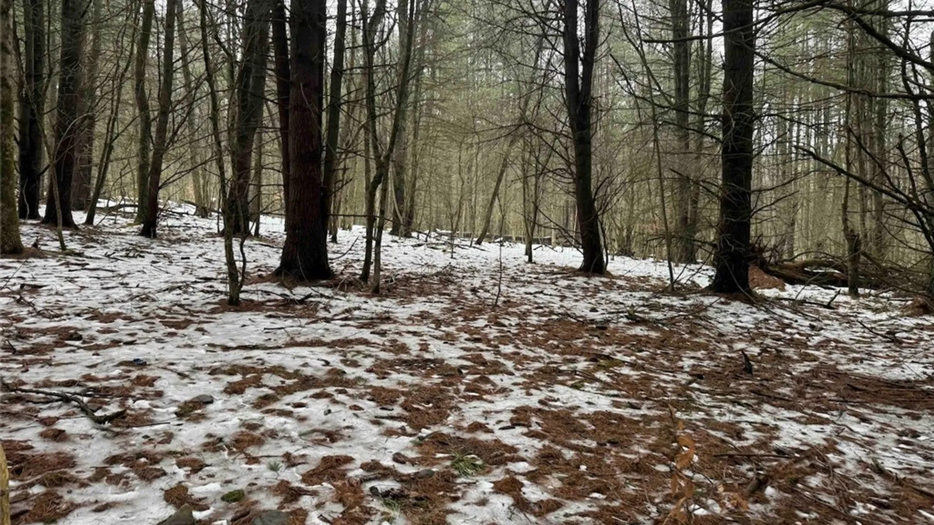 Property at Co Rd 5, Genesee, NY 14754 24
