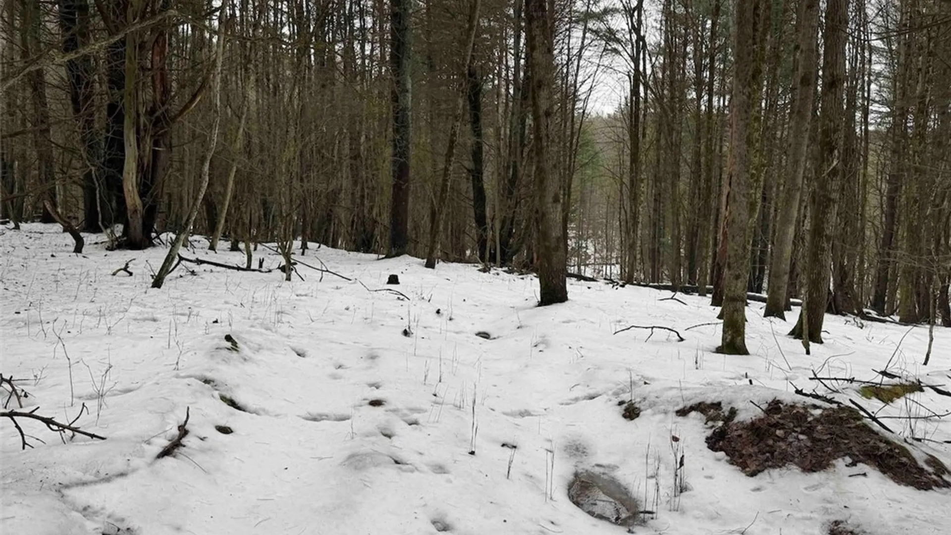 Property at Co Rd 5, Genesee, NY 14754 25