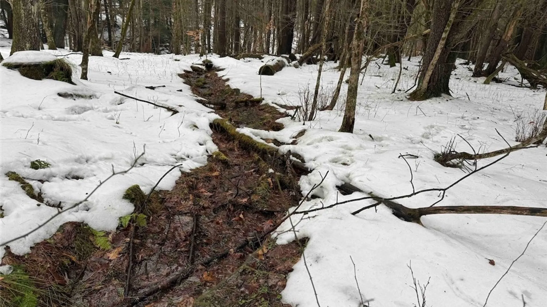 Property at Co Rd 5, Genesee, NY 14754 27