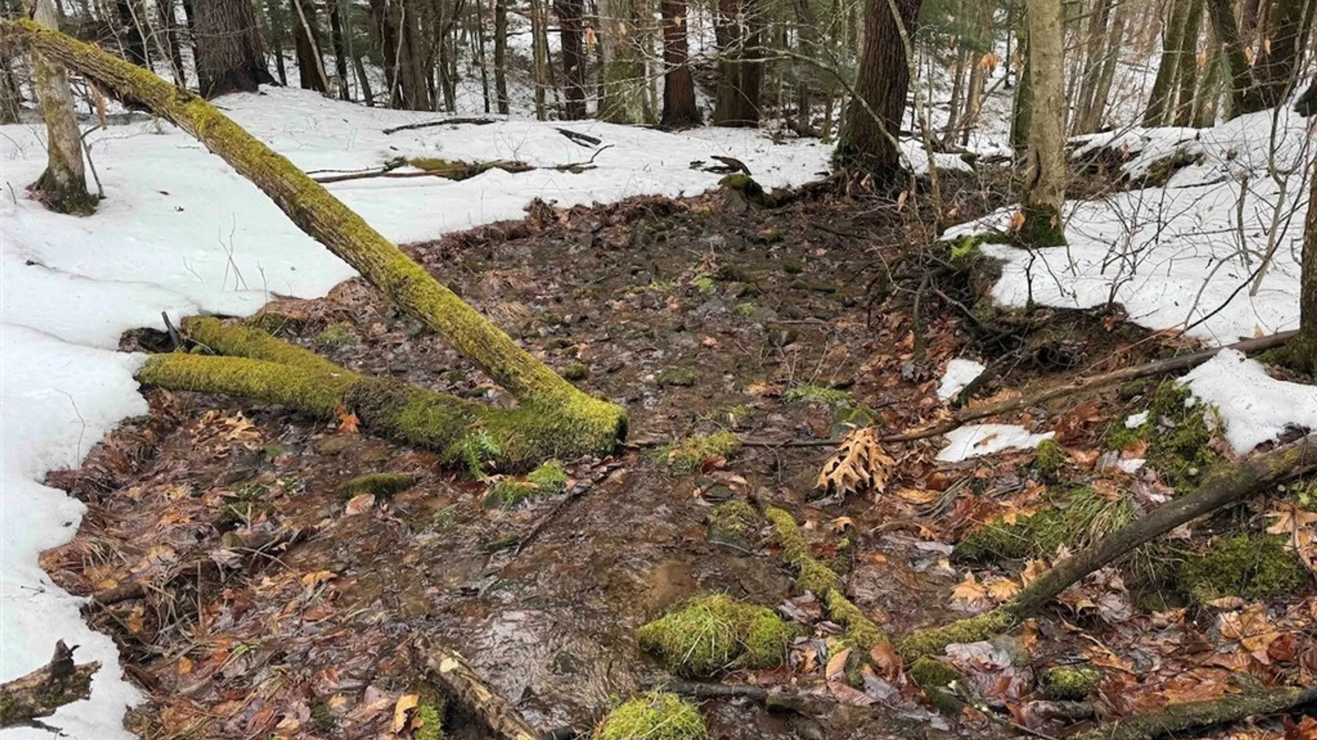 Property at Co Rd 5, Genesee, NY 14754 28