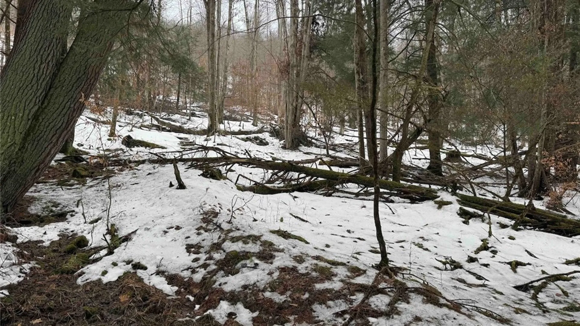 Property at Co Rd 5, Genesee, NY 14754 29