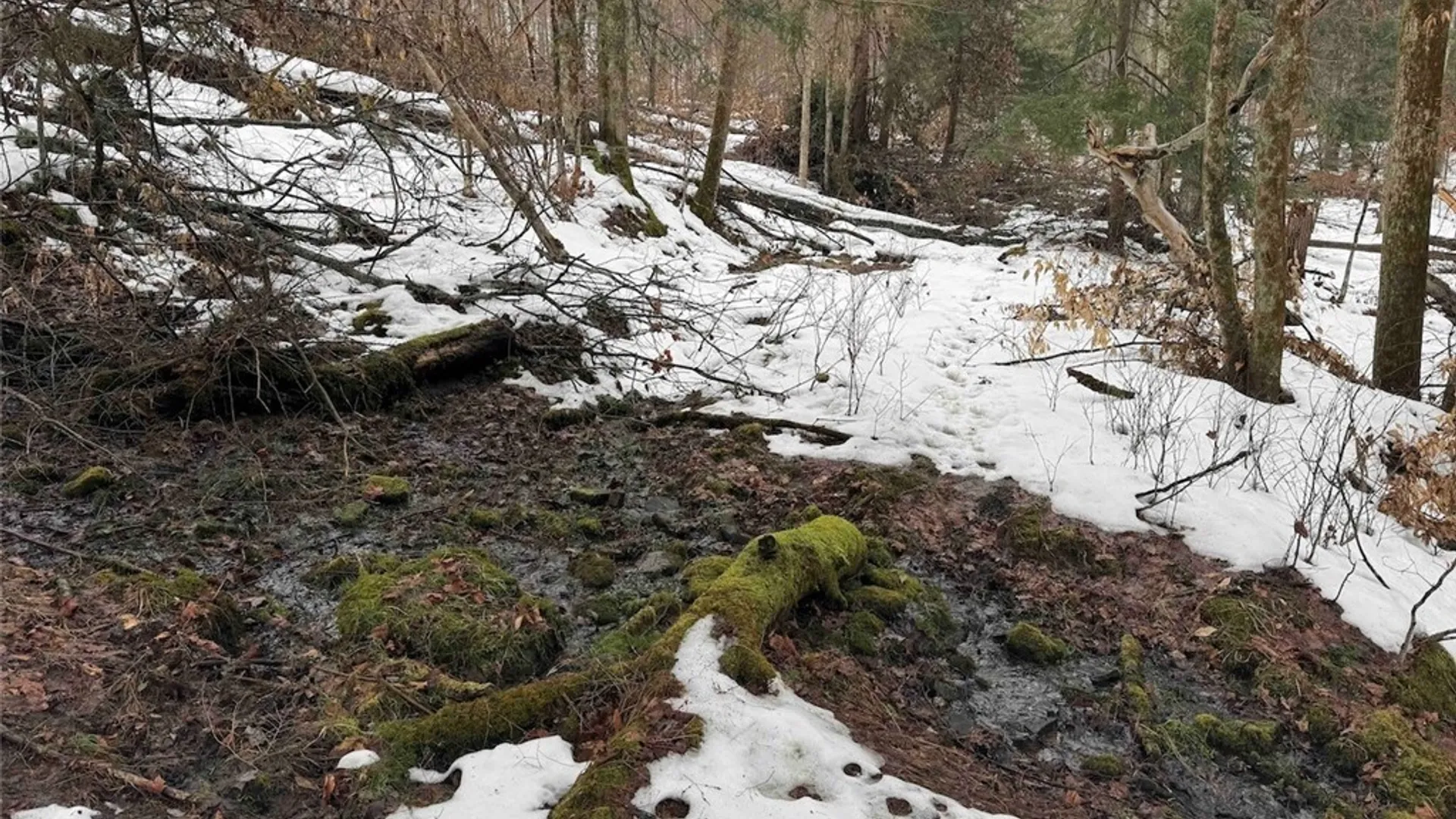 Property at Co Rd 5, Genesee, NY 14754 30
