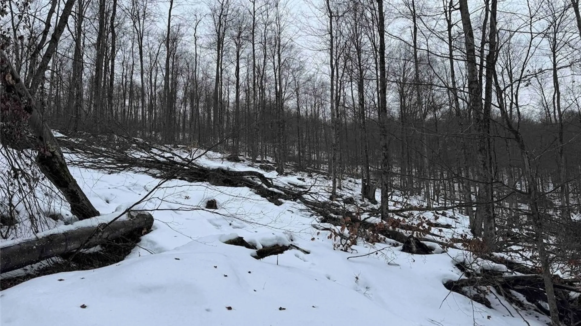 Property at Co Rd 5, Genesee, NY 14754 31