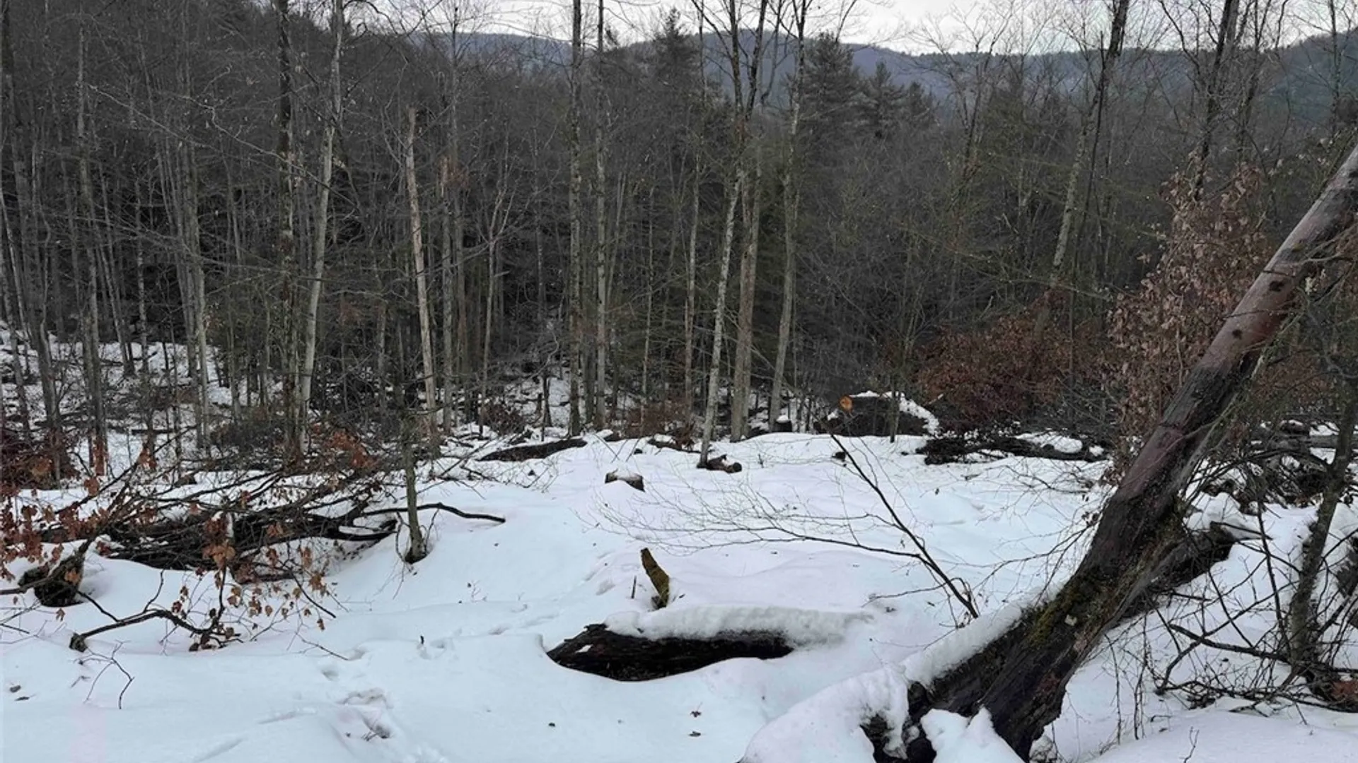 Property at Co Rd 5, Genesee, NY 14754 32