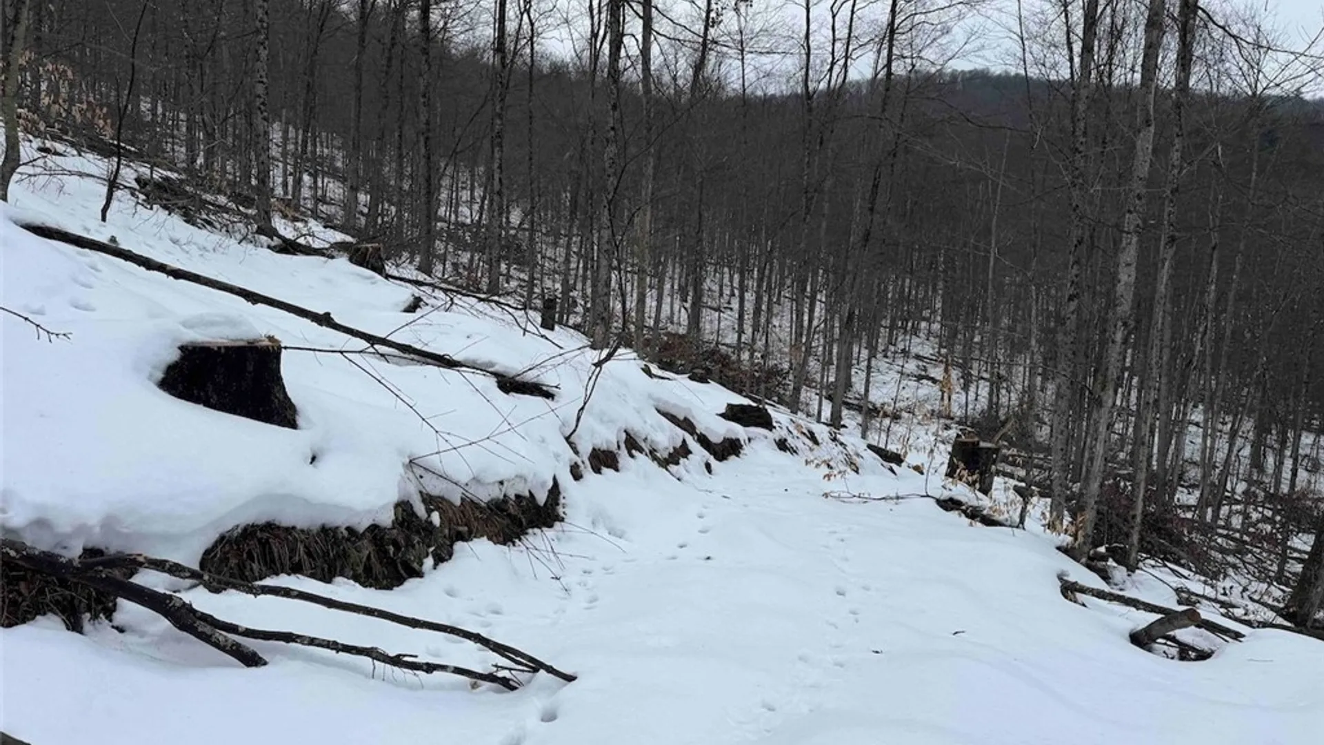 Property at Co Rd 5, Genesee, NY 14754 33