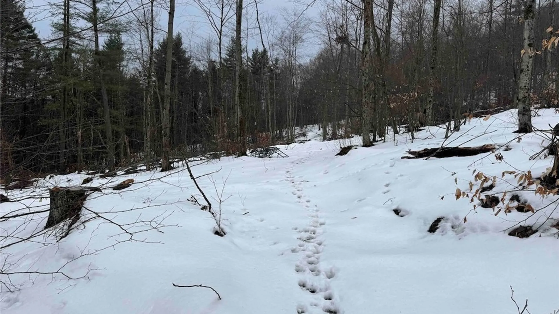 Property at Co Rd 5, Genesee, NY 14754 34