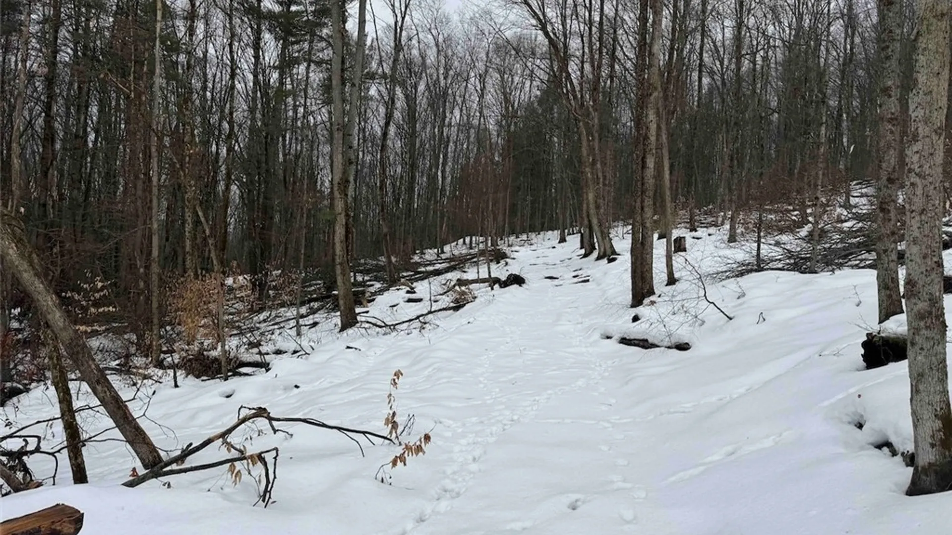 Property at Co Rd 5, Genesee, NY 14754 35