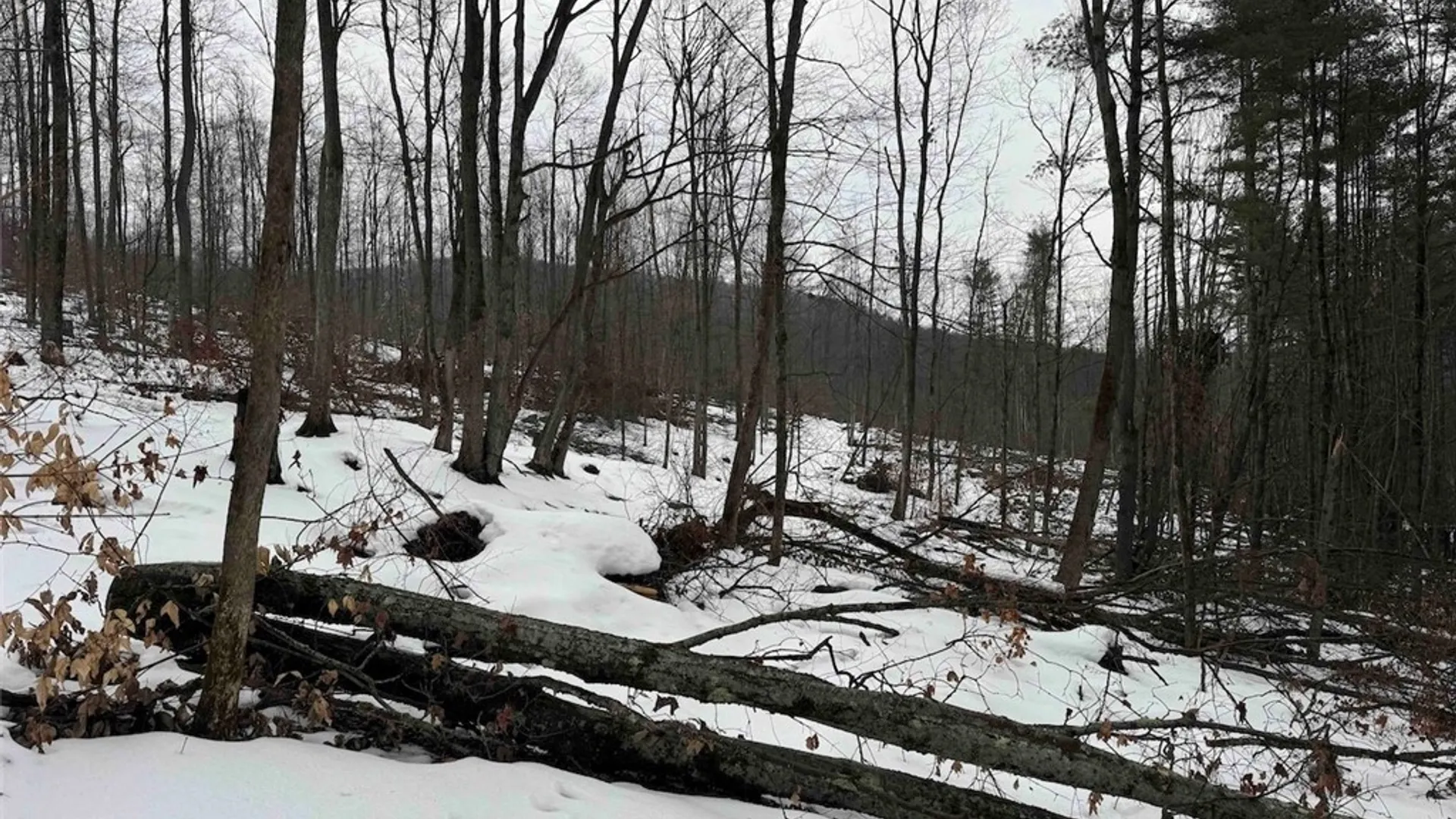 Property at Co Rd 5, Genesee, NY 14754 36
