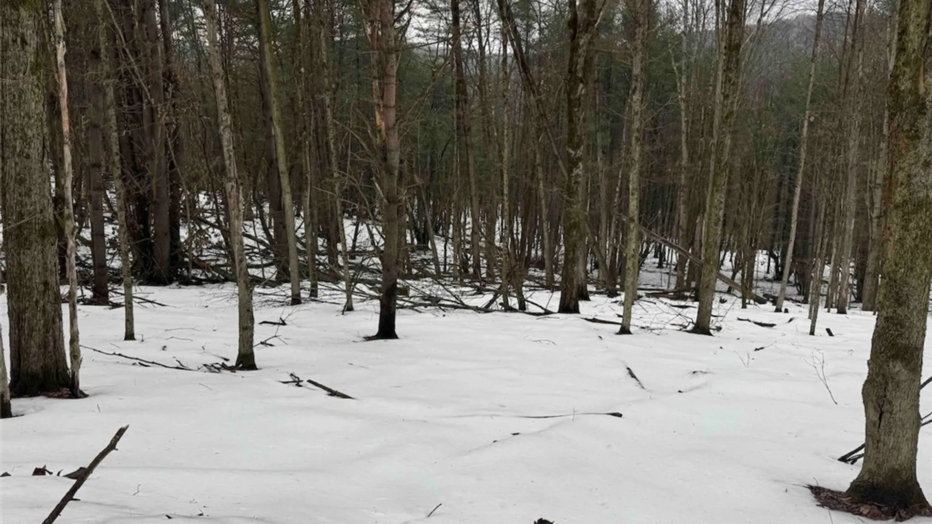 Property at Co Rd 5, Genesee, NY 14754 37