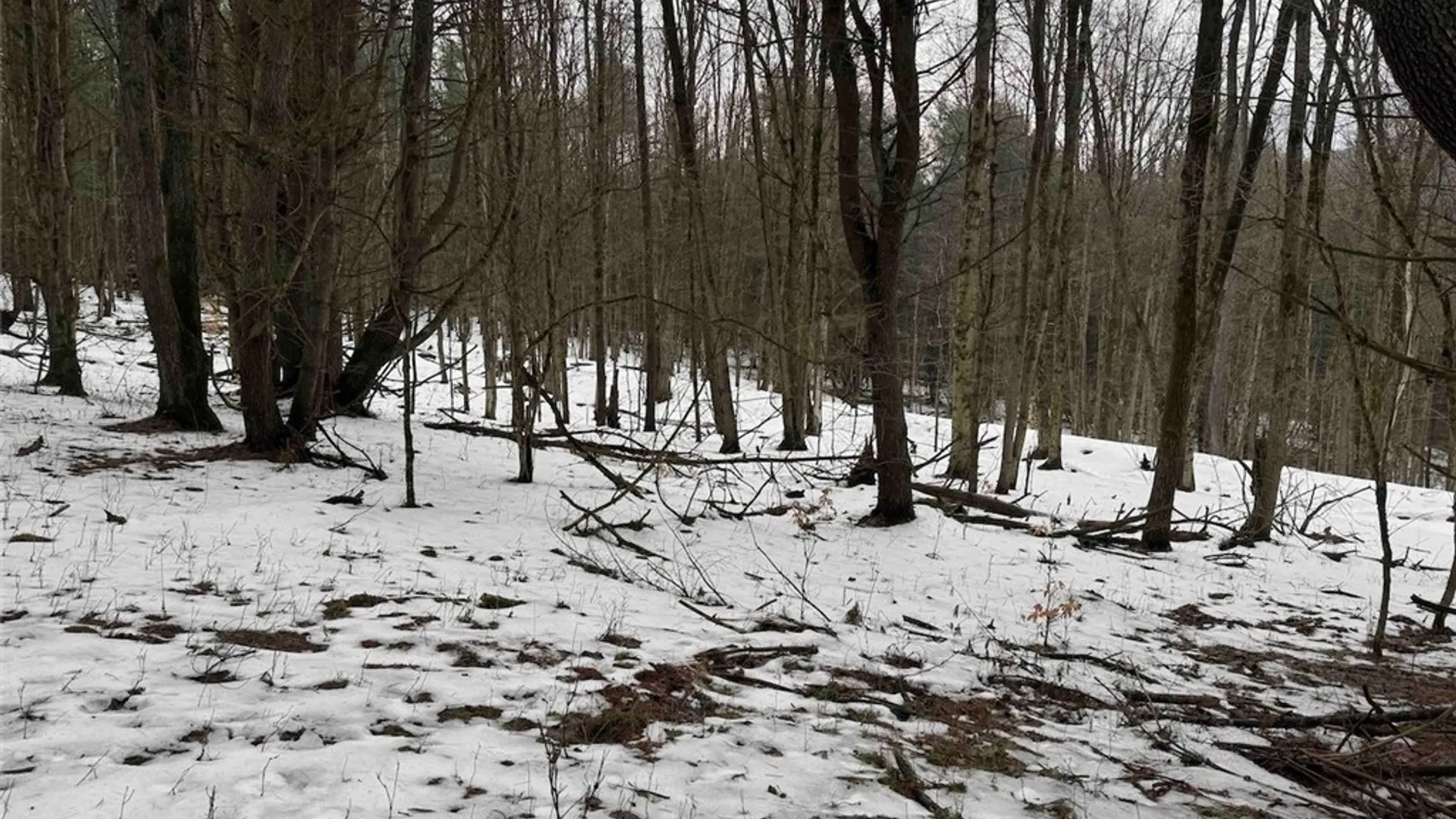 Property at Co Rd 5, Genesee, NY 14754 38