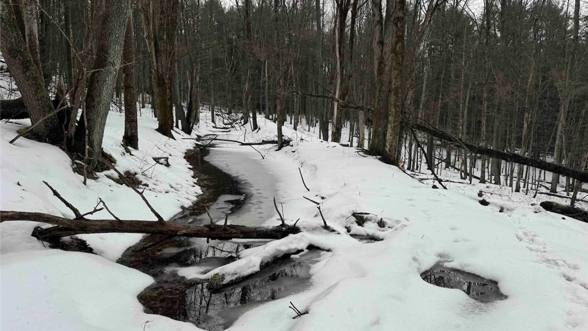 Property at Co Rd 5, Genesee, NY 14754 39