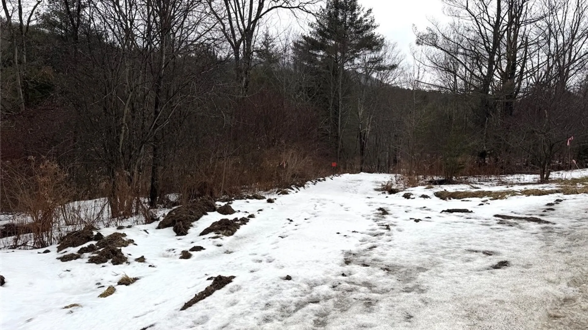 Property at Co Rd 5, Genesee, NY 14754 4
