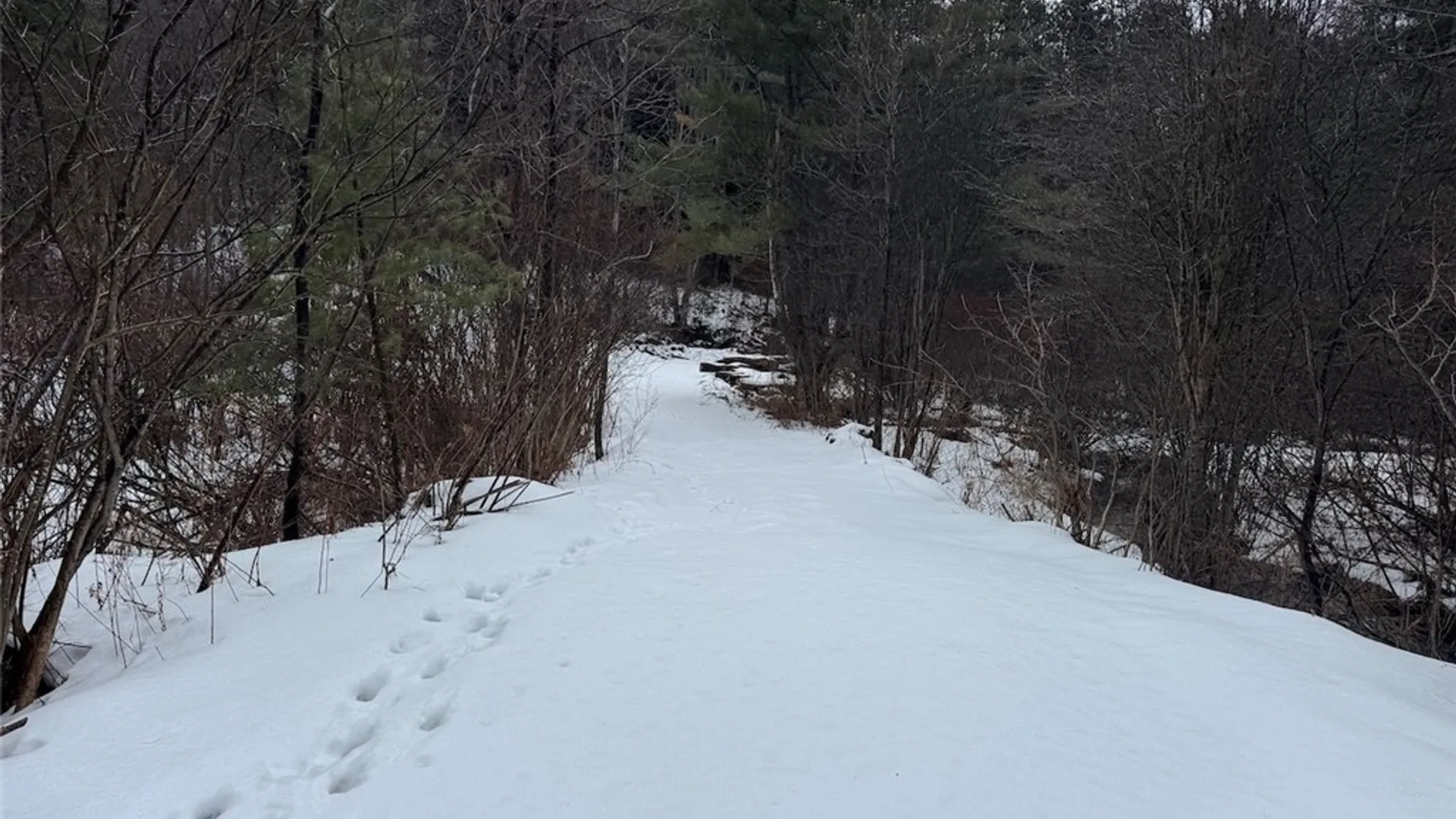Property at Co Rd 5, Genesee, NY 14754 5