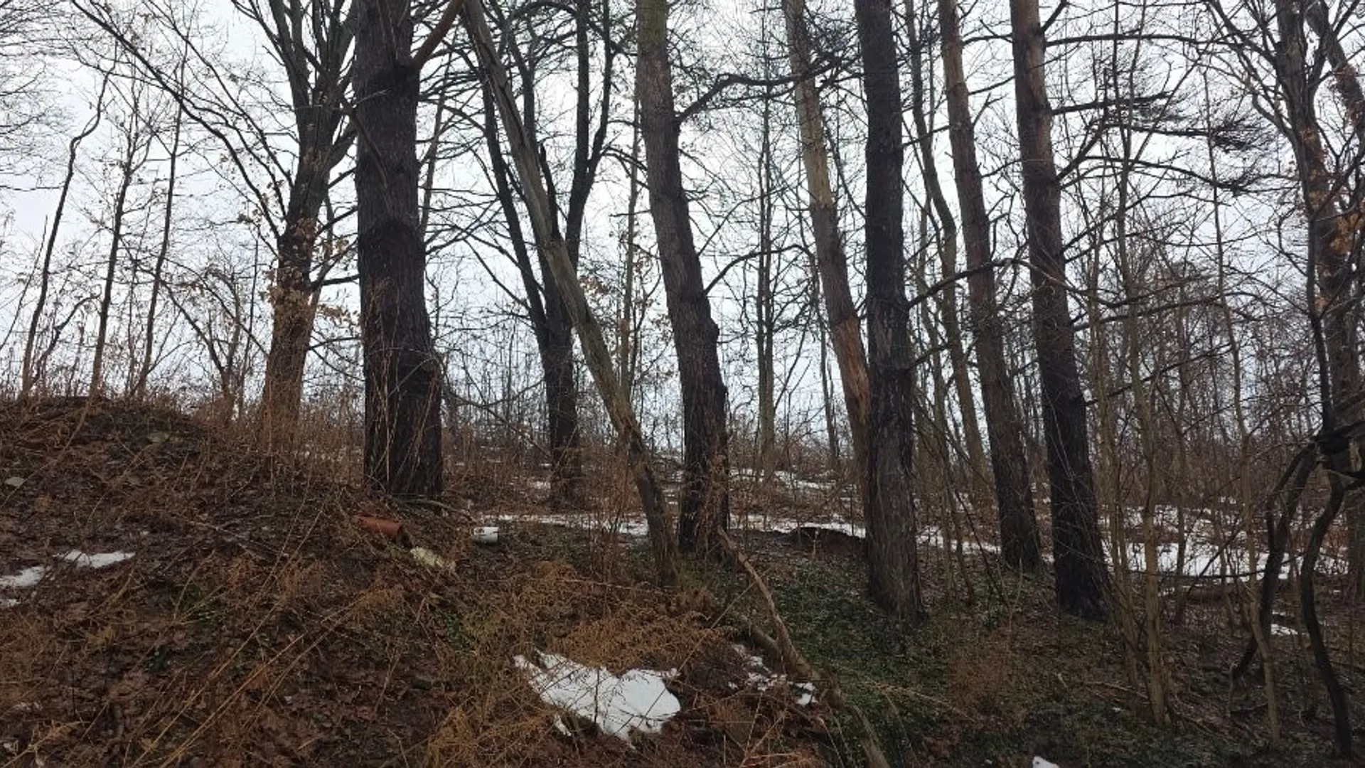Property at 7604 Route 60, Stockton, NY 14718 7