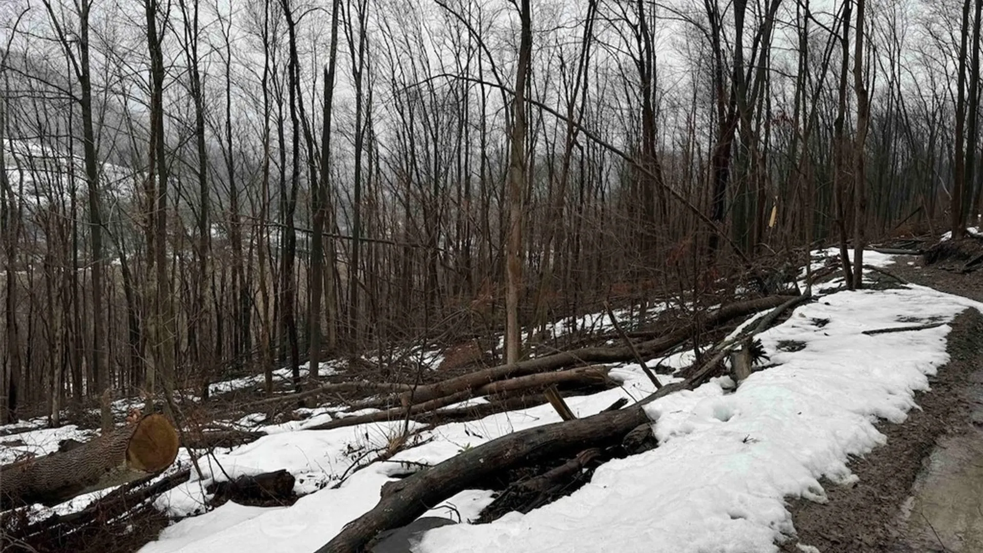 Property at Route 16, Ischua, NY 14743 10