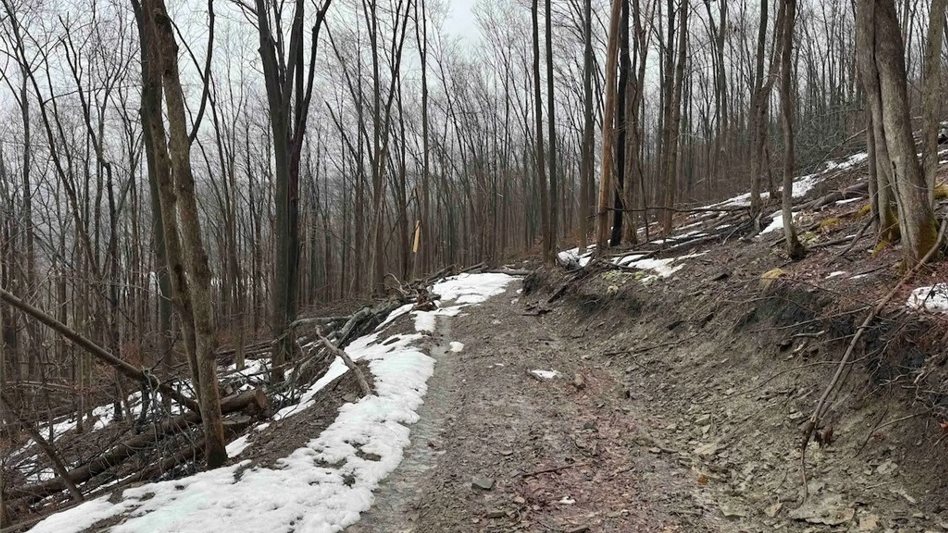 Property at Route 16, Ischua, NY 14743 11