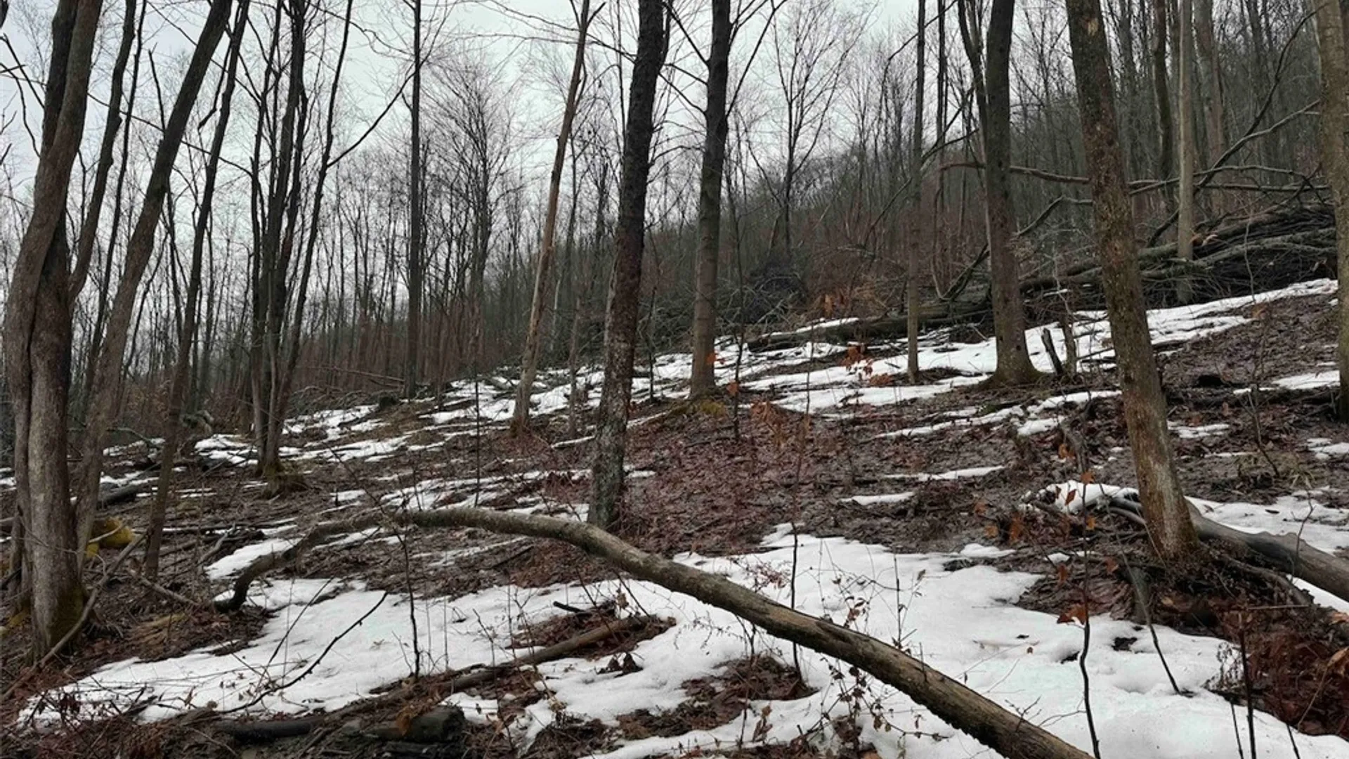 Property at Route 16, Ischua, NY 14743 12