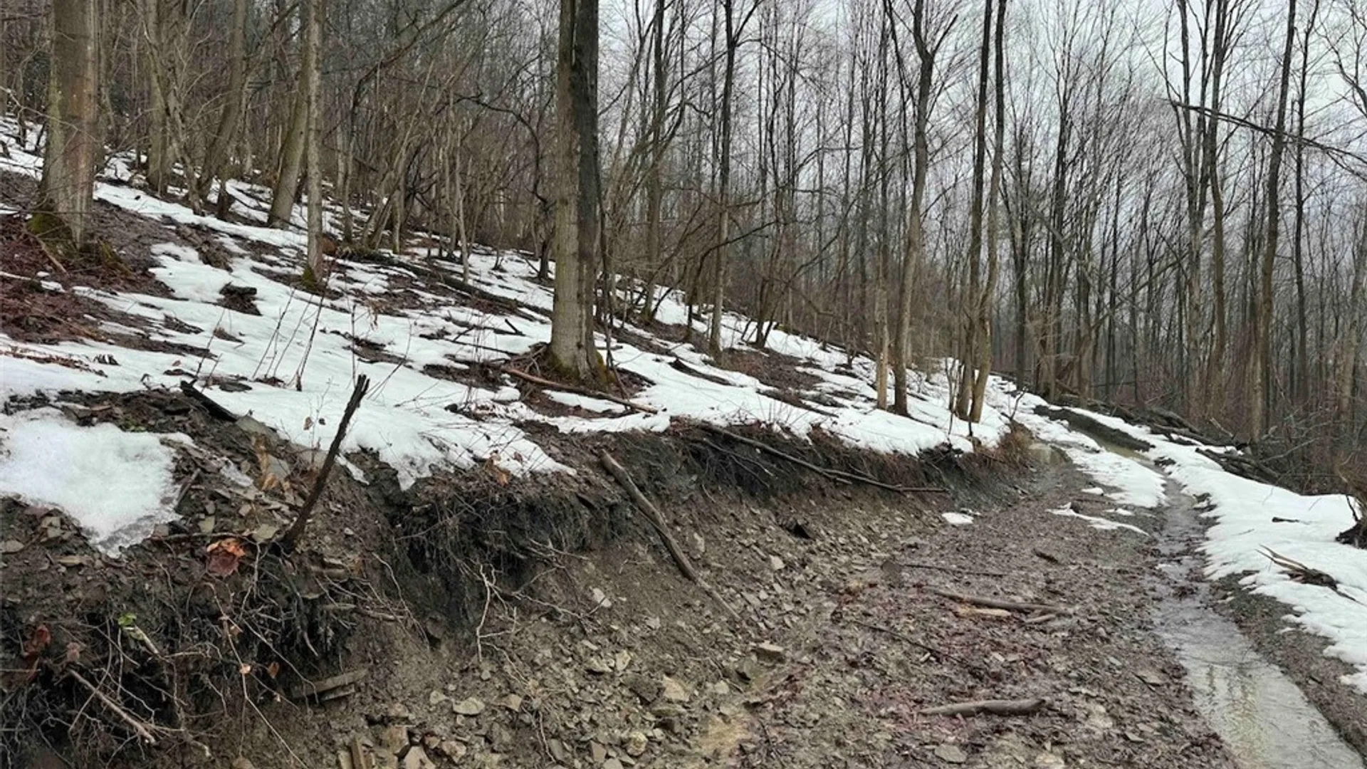 Property at Route 16, Ischua, NY 14743 13