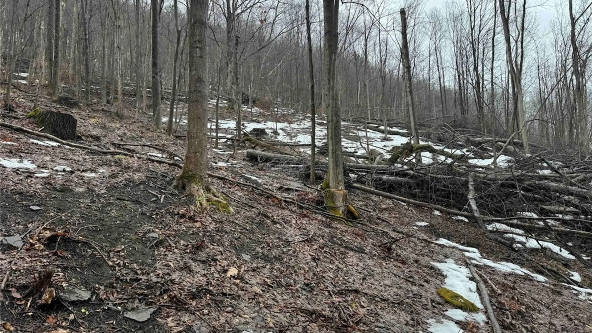 Property at Route 16, Ischua, NY 14743 14