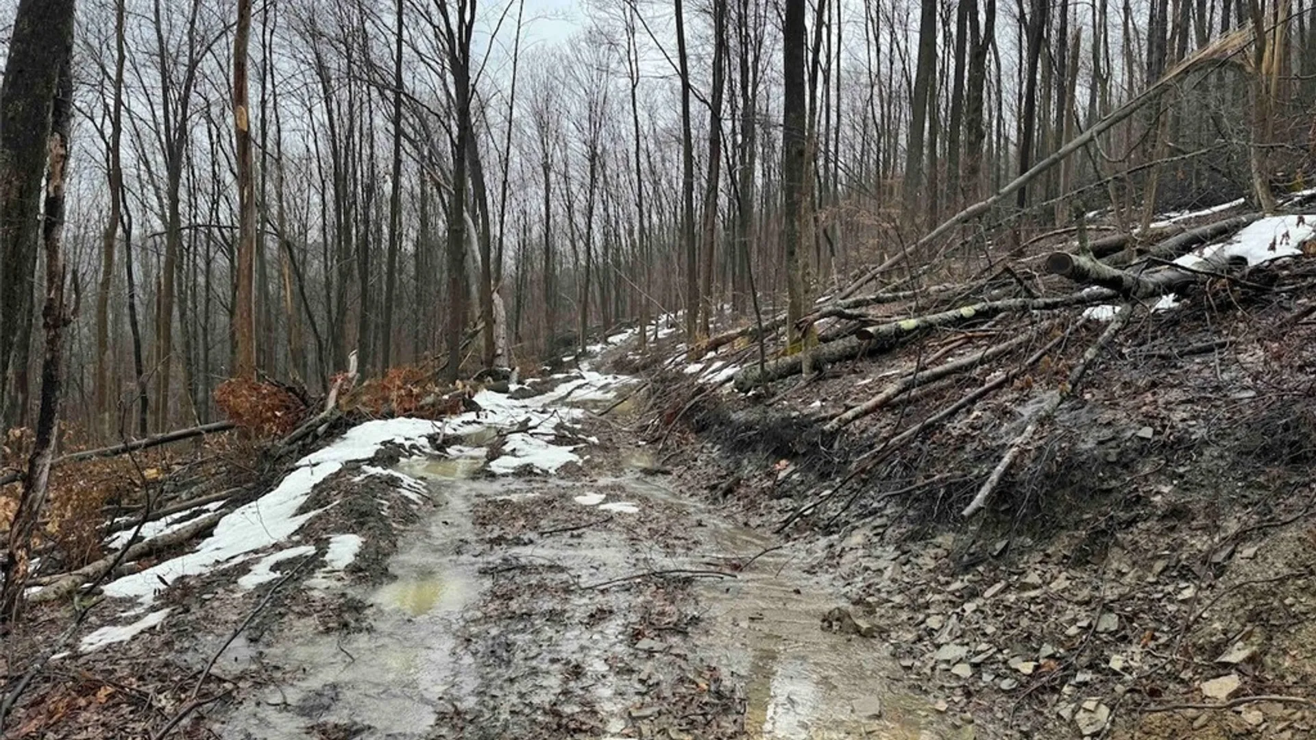 Property at Route 16, Ischua, NY 14743 15