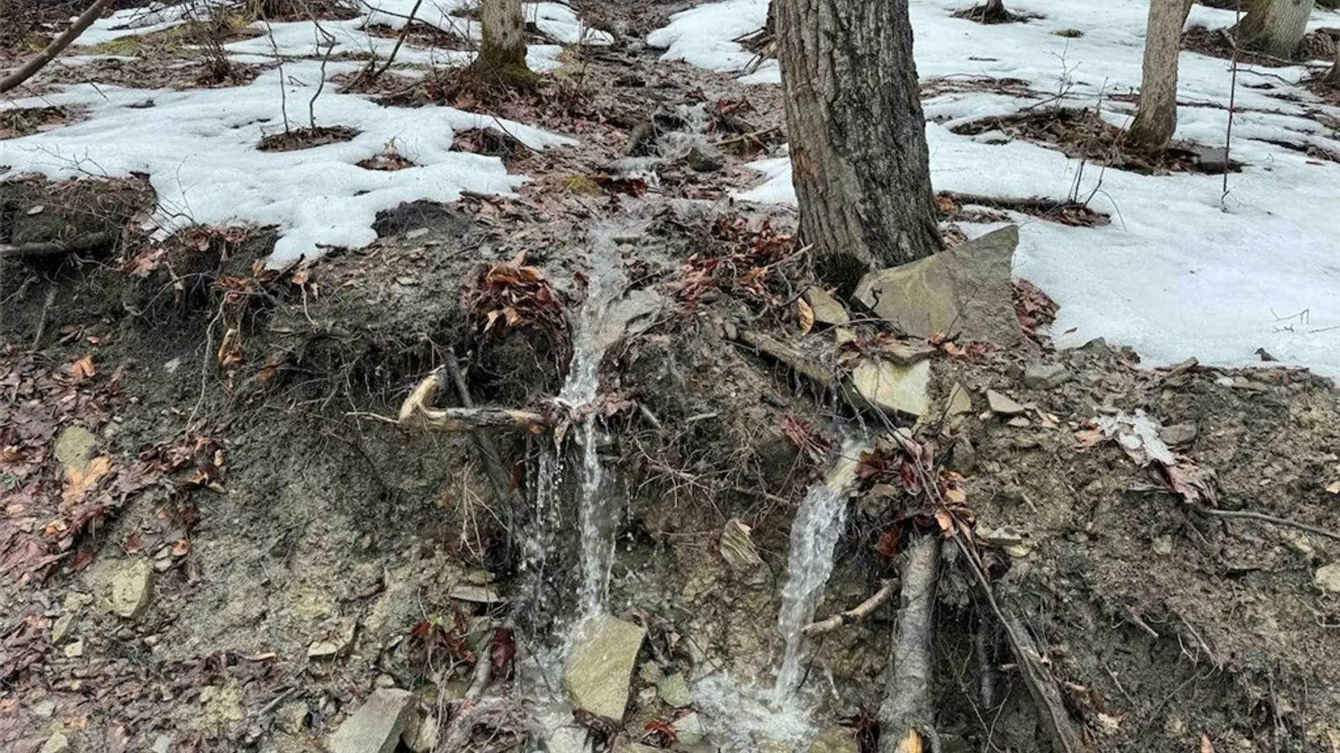 Property at Route 16, Ischua, NY 14743 18