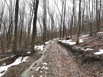 Route 16, Ischua, NY 14743