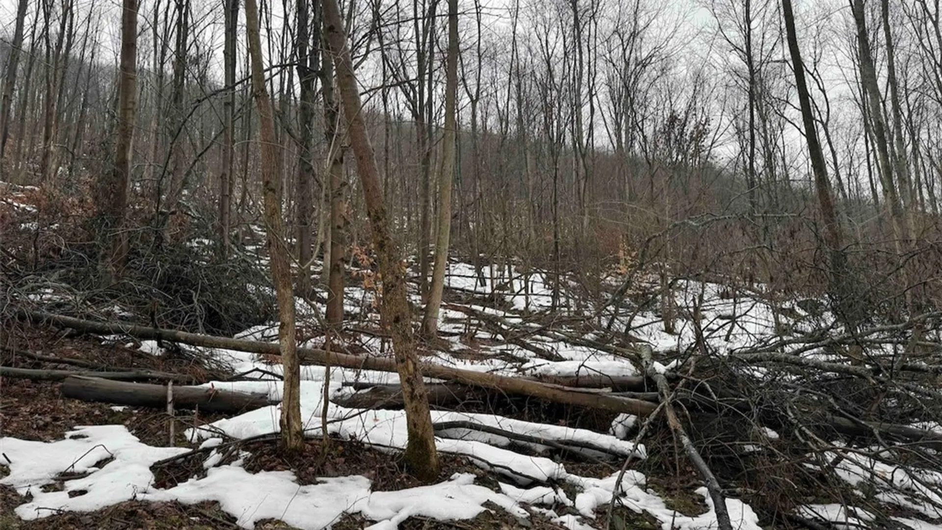 Property at Route 16, Ischua, NY 14743 20