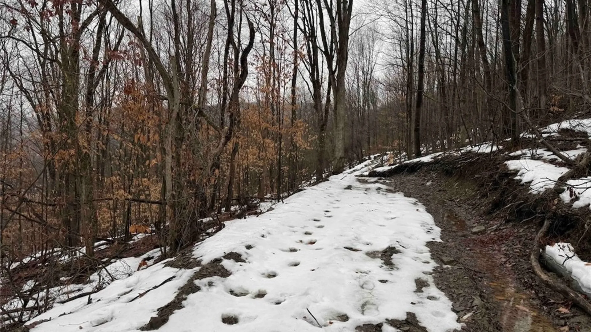 Property at Route 16, Ischua, NY 14743 21