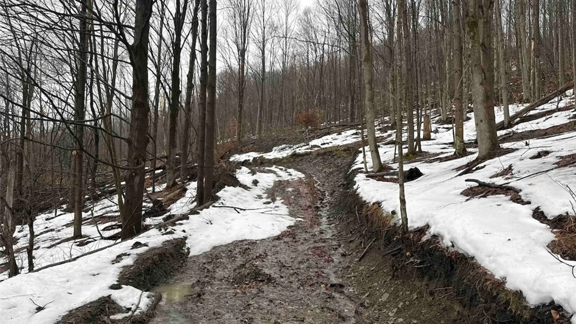 Property at Route 16, Ischua, NY 14743 24